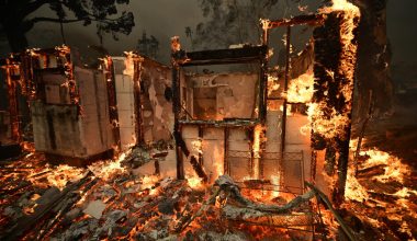 Λος Άντζελες: 66χρονος βρέθηκε απανθρακωμένος με ένα λάστιχο ποτίσματος στο χέρι του