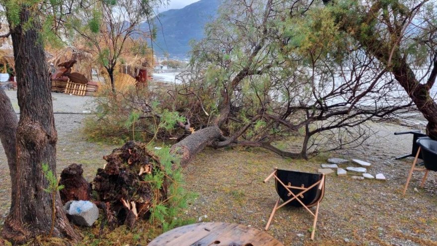 Έντονη βροχόπτωση και ισχυροί άνεμοι «σάρωσαν» την Καλαμάτα: Ζημιές στον παραλιακό δρόμο στις Κιτριές(φωτο)