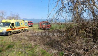 Τραγωδία στη Φθιώτιδα: Δέντρο καταπλάκωσε 60χρονο ενώ έκανε αγροτικές εργασίες